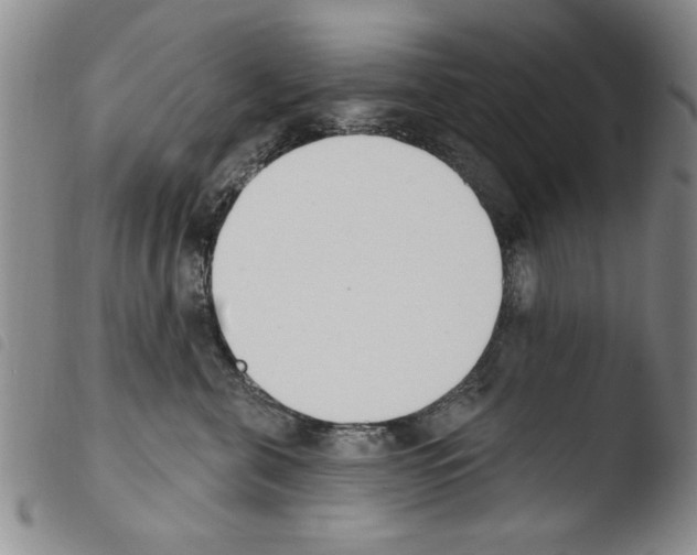 X0000103460571200810240952