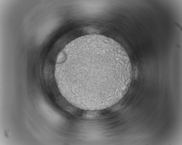 X0000103460573200810240952