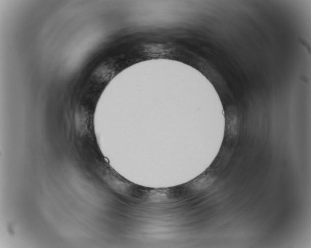 X0000103460574200810240952