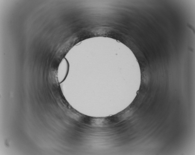 X0000103460575200810240952