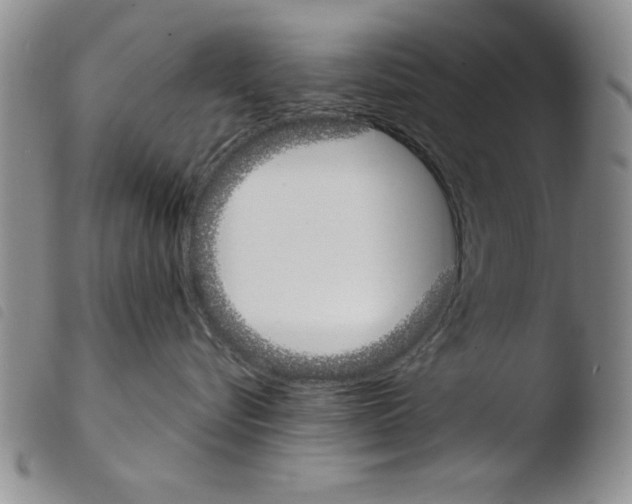 X0000103460576200810240952