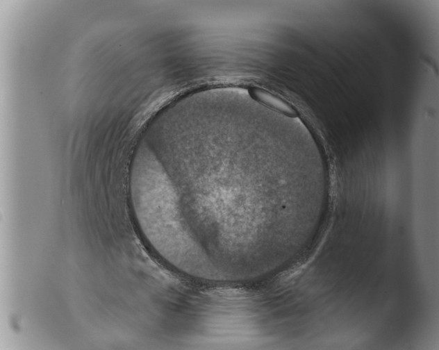 X0000103460577200810240951
