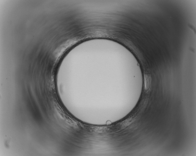 X0000103460579200810240951