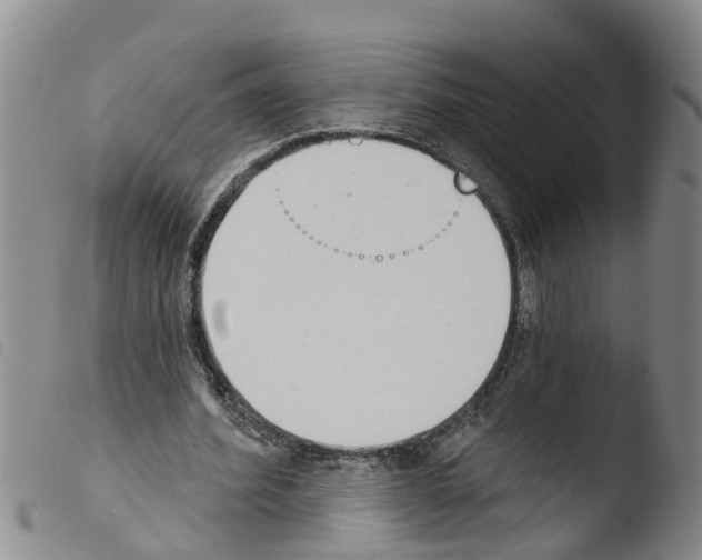 X0000103460580200810240951