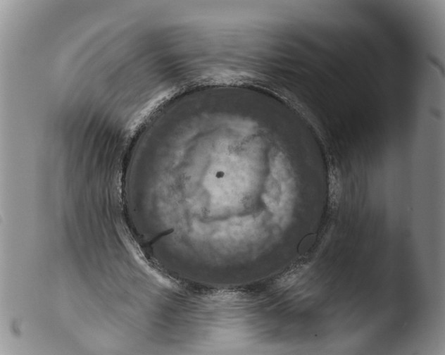 X0000103460581200810240951