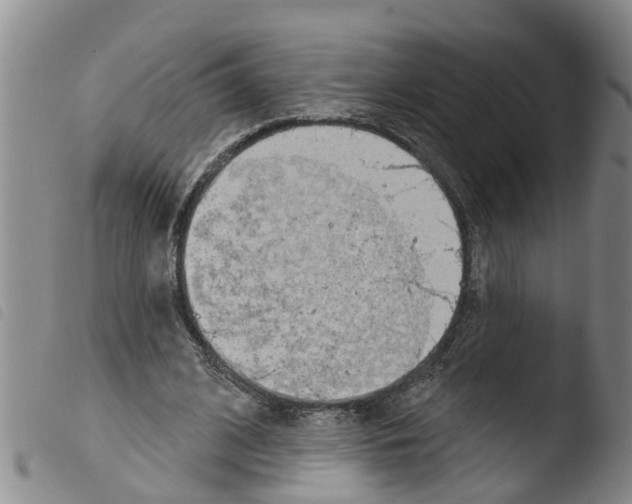 X0000103460584200810240951