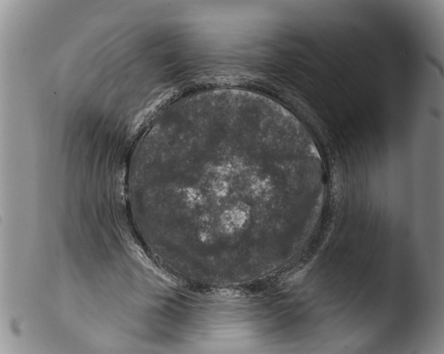 X0000103460585200810240951