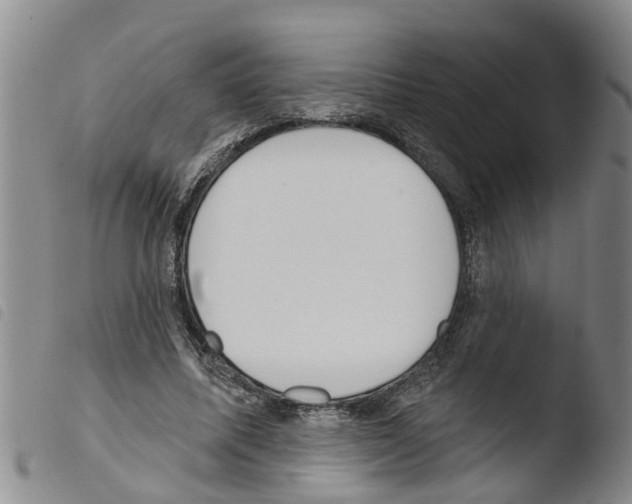 X0000103460587200810240951