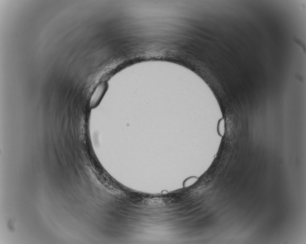 X0000103460588200810240951