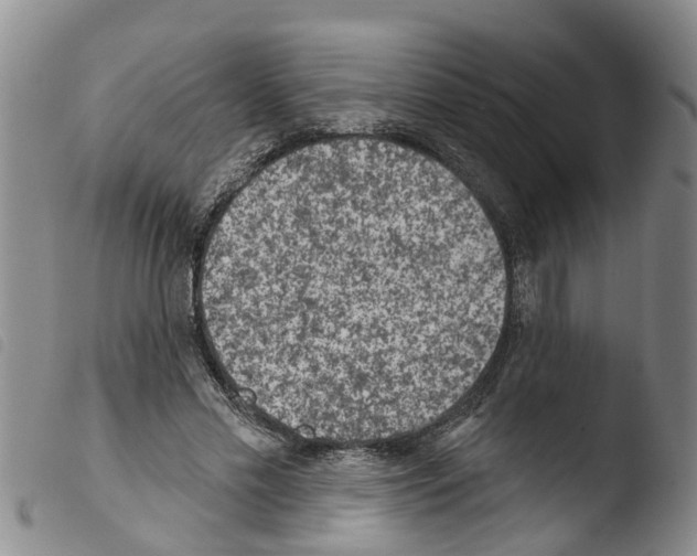 X0000103460589200810240951