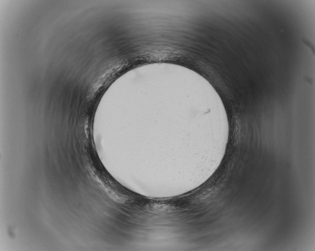 X0000103460590200810240951