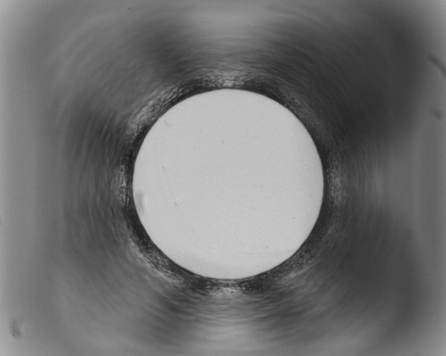 X0000103460594200810240951