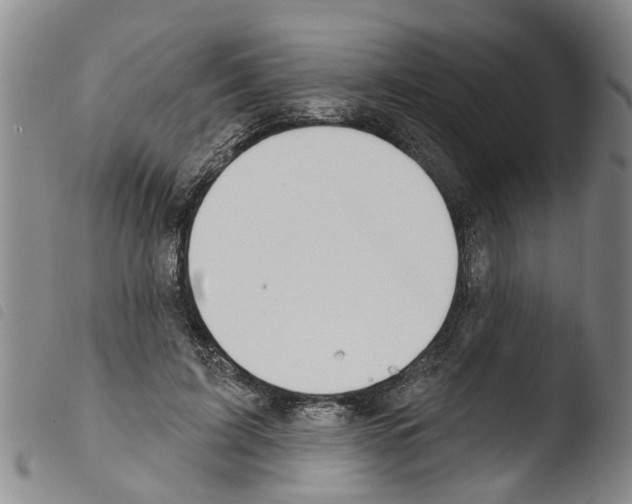 X0000103460595200810240951