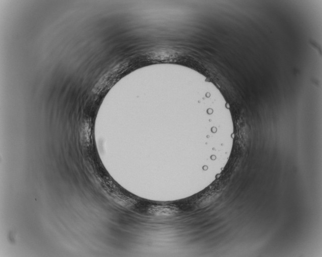 X0000103460597200810240951