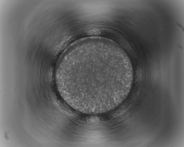 X0000103460600200810240951
