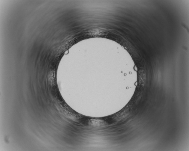X0000103460605200810240951