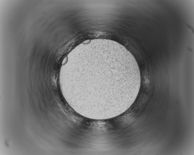 X0000103460607200810240951