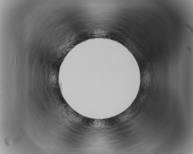 X0000103460608200810240951