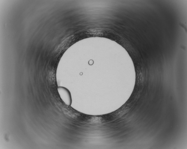 X0000103460609200810240951