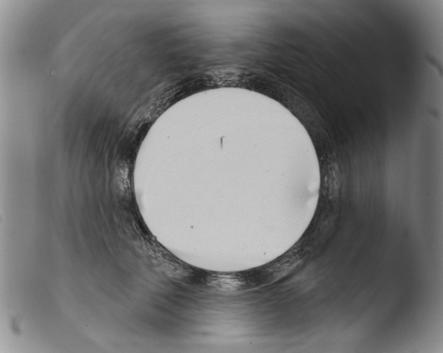 X0000103460610200810240951