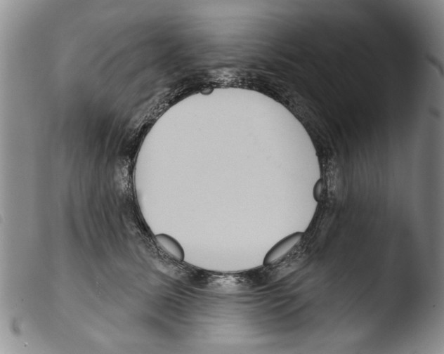 X0000103460611200810240951