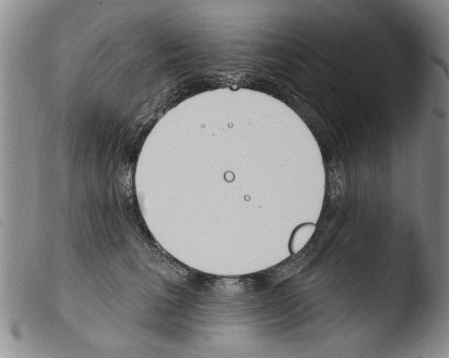 X0000103460613200810240951