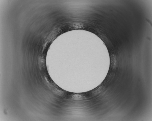 X0000103460614200810240951