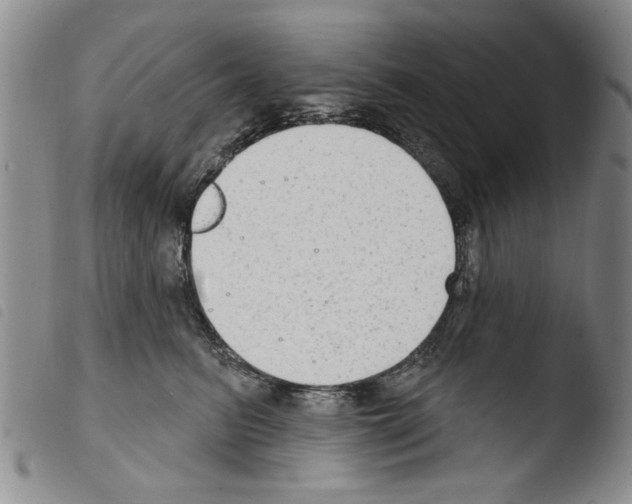 X0000103460615200810240951