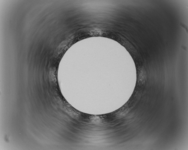 X0000103460616200810240951