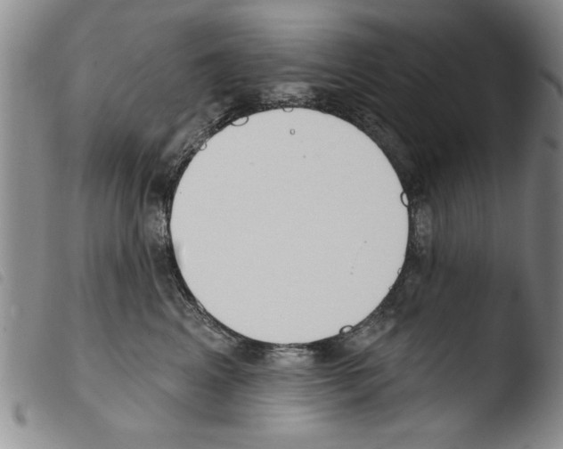 X0000103460617200810240951