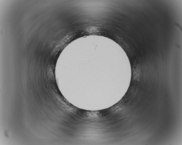 X0000103460618200810240951