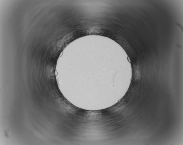 X0000103460619200810240951