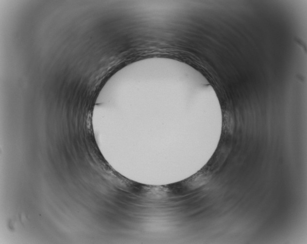X0000103460621200810240951