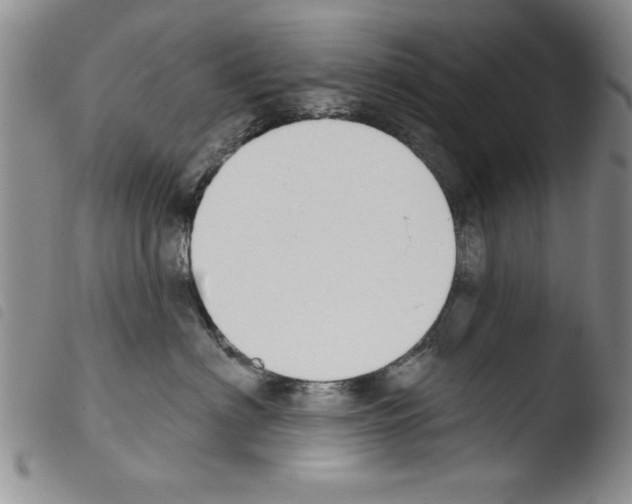 X0000103460622200810240951