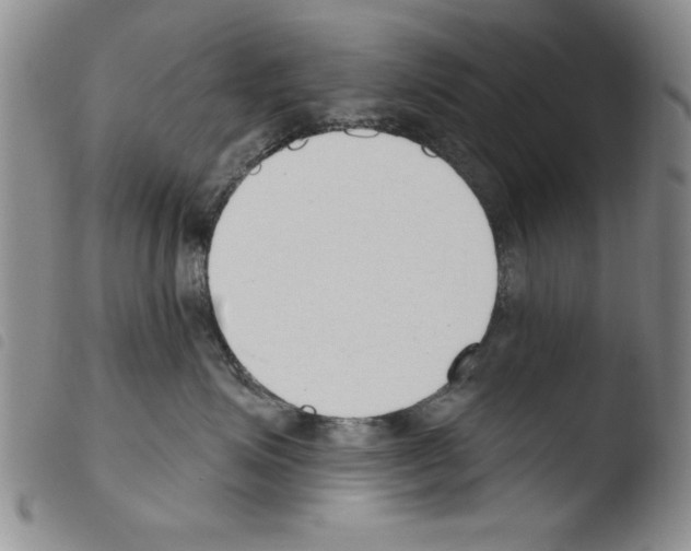 X0000103460623200810240951