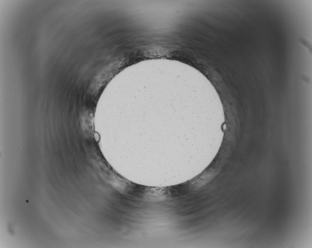 X0000103460624200810240951