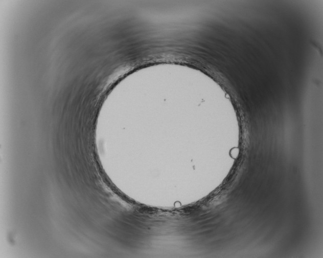 X0000103460625200810240950
