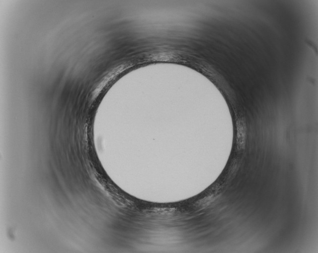 X0000103460626200810240950