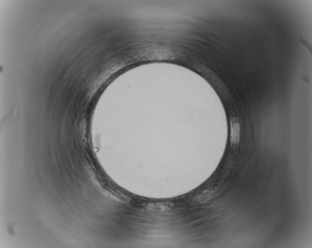 X0000103460627200810240950