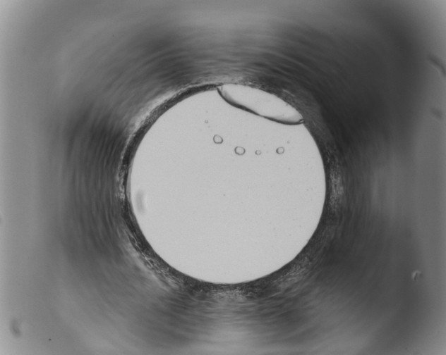 X0000103460628200810240950