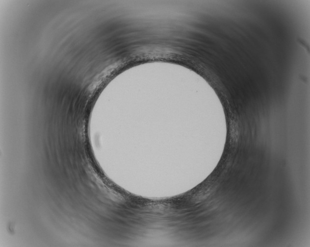 X0000103460629200810240950