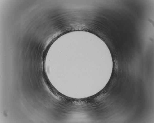 X0000103460630200810240950