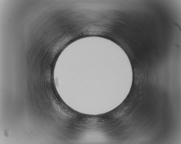 X0000103460631200810240950