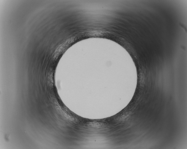 X0000103460633200810240950