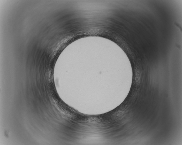 X0000103460636200810240950