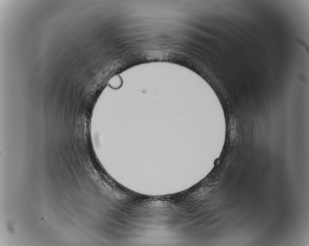 X0000103460637200810240950