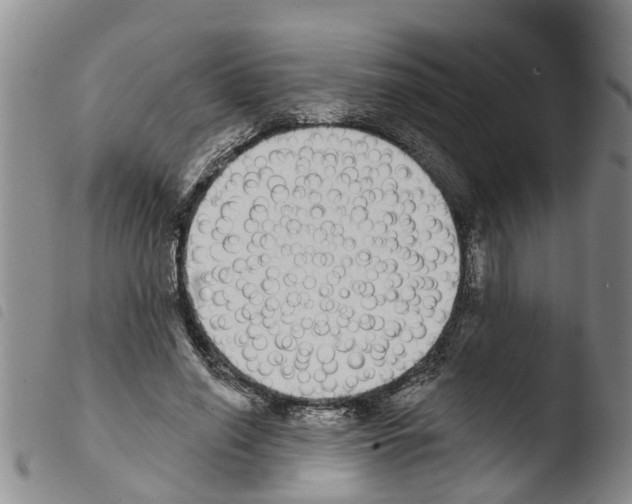X0000103460638200810240950