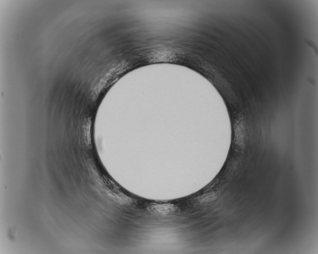 X0000103460642200810240950