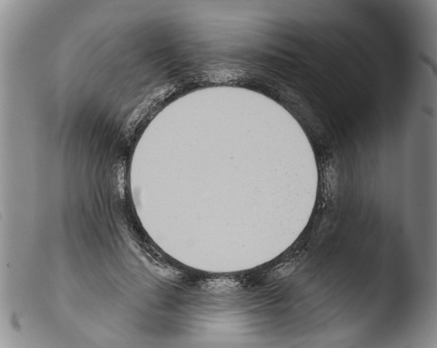 X0000103460644200810240950