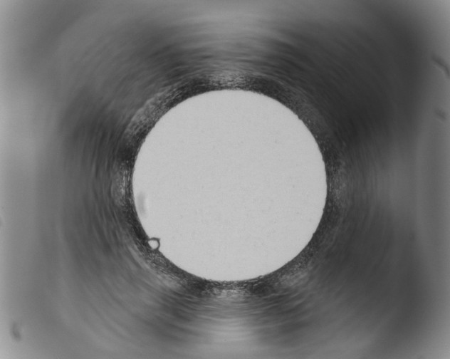X0000103460645200810240950